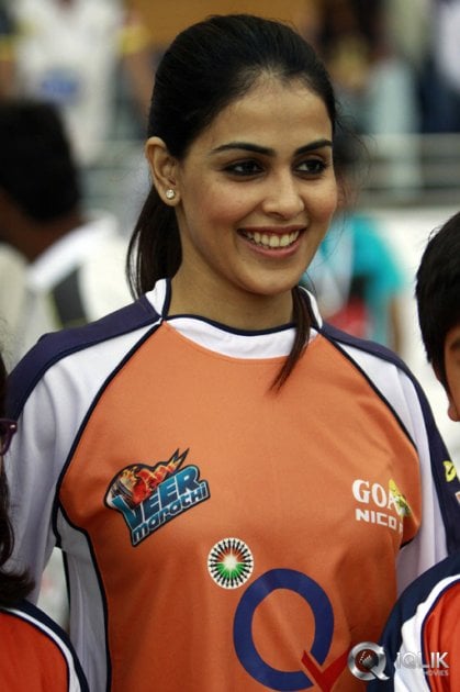 Celebrity-Cricket-League-2014